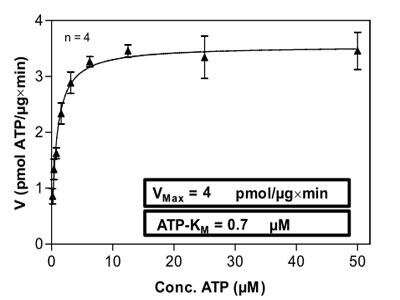 Functional: Recombinant Human TTK His-GST Protein [P4790]
