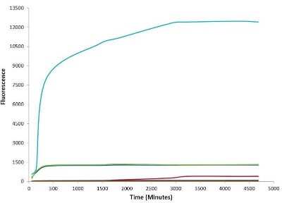 In vitro assay: Recombinant Human alpha-Synuclein Active, Monomer, (Type 1) Protein [NBP2-54788]