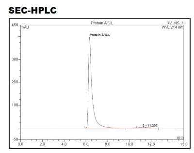 HPLC: Recombinant Protein A/G/L Protein [NBP2-34985]