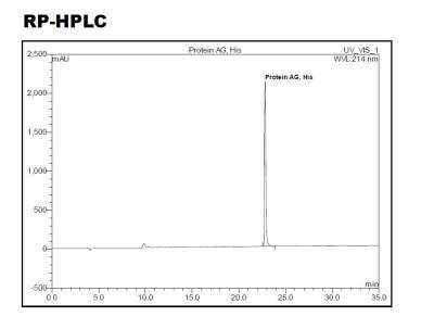 HPLC: Recombinant Protein A/G His (C-Term) Protein [NBP2-34981]