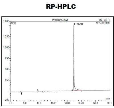 HPLC: Recombinant Protein A/G Cys (C-Term) Protein [NBP2-34999]