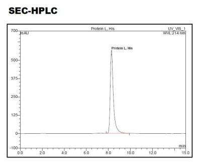 HPLC: Recombinant Protein L Type 1 His (N-Term) Protein [NBP2-35045]