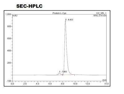 HPLC: Recombinant Protein L Type 1 Protein [NBP2-35049]