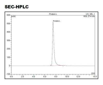 HPLC: Recombinant Protein L Type 1 Protein [NBP2-35048]