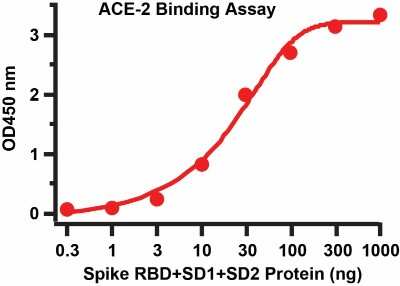 ELISA: Recombinant SARS-CoV-2 Spike (RBD+SD1+SD2) His (C-Term) Protein [NBP3-07951]