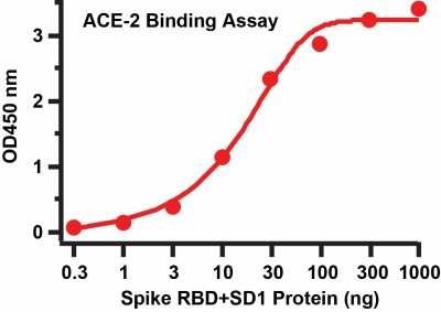 ELISA: Recombinant SARS-CoV-2 Spike (RBD+SD1) His (C-Term) Protein [NBP3-07950]