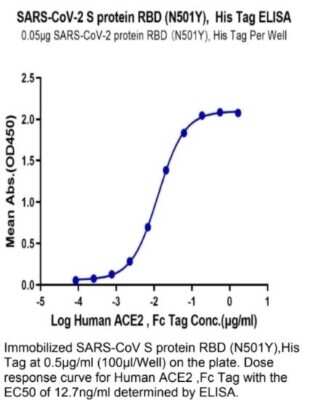 ELISA: Recombinant SARS-CoV-2 Spike RBD (N501Y) His Avi-tag Protein [NBP3-07930]