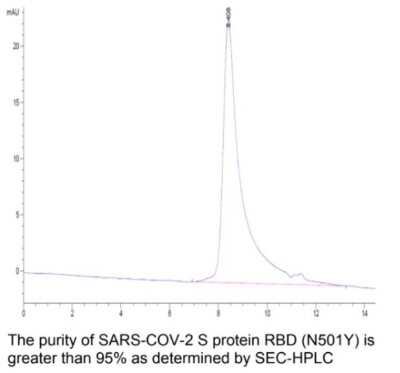 HPLC: Recombinant SARS-CoV-2 Spike RBD (N501Y) His Avi-tag Protein [NBP3-07930]