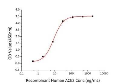ELISA: Recombinant SARS-CoV-2 Spike S1 His (C-Term) Protein [NBP2-90985]