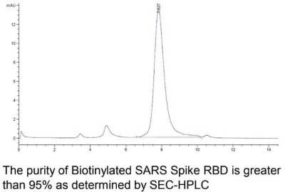 HPLC: Recombinant SARS-CoV Spike RBD Biotin His Avi-tag Protein [NBP3-07948]