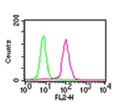 Flow Cytometry: RelA/NFkB p65 Antibody (112A1021) - BSA Free [NB100-56712]