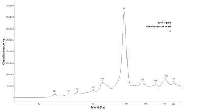 Simple Western: RelA/NFkB p65 Antibody (112A1021)BSA Free [NB100-56712]