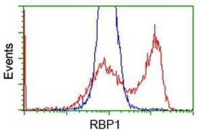 Flow Cytometry: Retinol Binding Protein RBP Antibody (OTI2H3) - Azide and BSA Free [NBP2-73852]