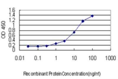 ELISA: Rheb Antibody (1E12) [H00006009-M05]