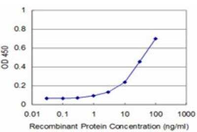 ELISA: RhoA Antibody (1A11) [H00000387-M03]