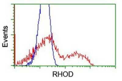 Flow Cytometry: RhoD Antibody (OTI2F7) - Azide and BSA Free [NBP2-73889]