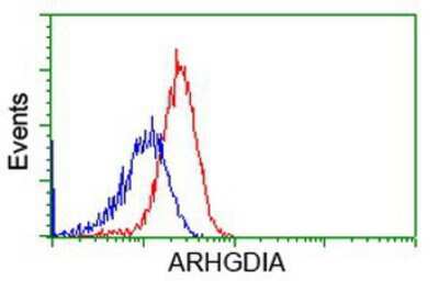 Flow Cytometry: RhoGDI Antibody (OTI1F2) [NBP2-02467]