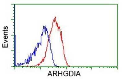 Flow Cytometry: RhoGDI Antibody (OTI1F2) - Azide and BSA Free [NBP2-73890]