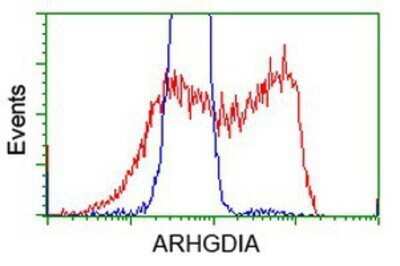Flow Cytometry: RhoGDI Antibody (OTI1F2) - Azide and BSA Free [NBP2-73890]