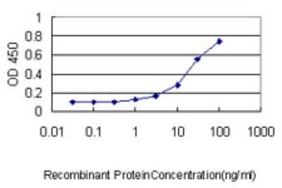ELISA: RhoJ Antibody (1E4) [H00057381-M01]