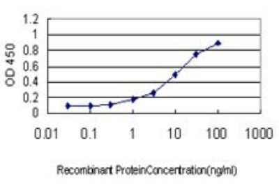 ELISA: Rhot1 Antibody (4H4) [H00055288-M01]