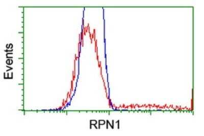 Flow Cytometry: Ribophorin I Antibody (OTI3H3) - Azide and BSA Free [NBP2-73898]