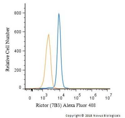 Flow Cytometry: Rictor Antibody (7B3) - BSA Free [NBP1-51645]