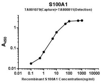 ELISA: S100A1 Antibody (OTI6G4) [NBP2-45658]