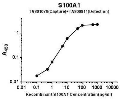 ELISA: S100A1 Antibody (OTI6G4) - Azide and BSA Free [NBP2-73967]