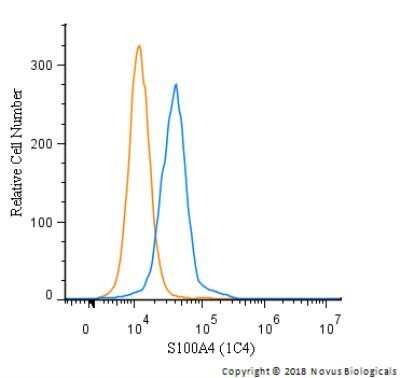 Flow Cytometry: S100A4 Antibody (1C4) - Azide and BSA Free [NBP2-80936]