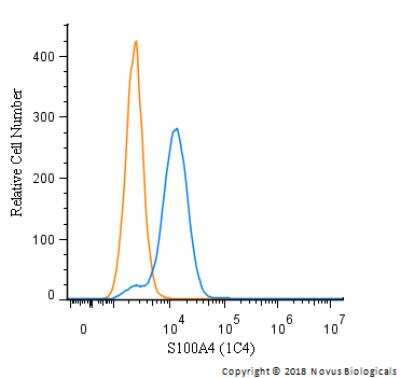 Flow Cytometry: S100A4 Antibody (1C4) - BSA Free [NBP2-36431]