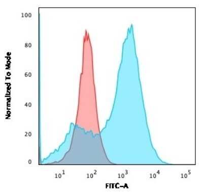 Flow Cytometry: S100A4 Antibody (S100A4/1481) - Azide and BSA Free [NBP2-54580]