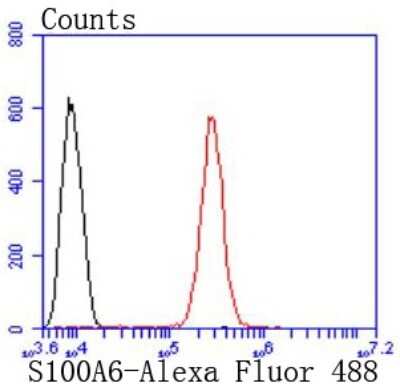 Flow Cytometry: S100A6 Antibody (JF0976) [NBP2-67123]