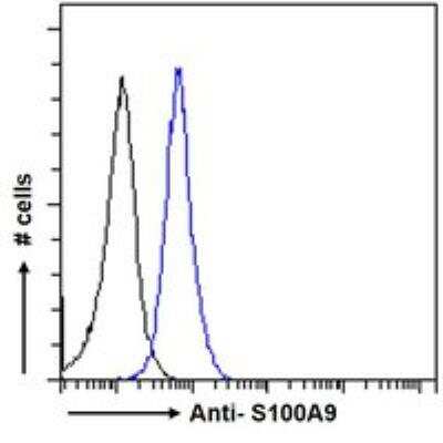 Flow Cytometry: S100A9 Antibody [142Nd] [NBP1-18843]