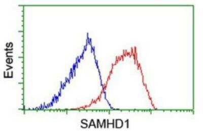 Flow Cytometry: SAMHD1 Antibody (OTI3F5) - Azide and BSA Free [NBP2-73979]