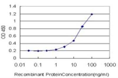 ELISA: SAP30 Antibody (4D2) [H00008819-M02]