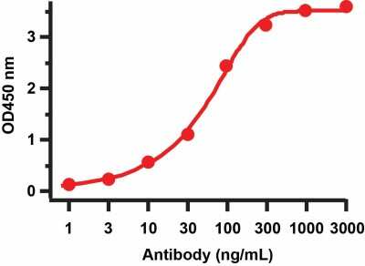 ELISA: SARS-CoV-2 Membrane Protein Antibody - BSA Free [NBP3-07059]
