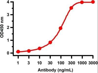 ELISA: SARS-CoV-2 NSP10 Antibody - BSA Free [NBP3-07057]