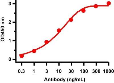 ELISA: SARS-CoV-2 ORF7a Antibody - BSA Free [NBP3-11937]