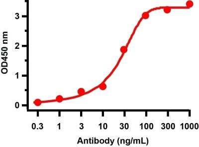 ELISA: SARS-CoV-2 ORF9c Antibody - BSA Free [NBP3-11930]