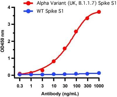 ELISA: SARS-CoV-2 Spike Antibody (9F7E4) - Alpha Variant, B.1.1.7, UK - BSA Free [NBP3-11941]