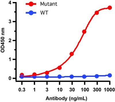 ELISA: SARS-CoV-2 Spike Antibody (9F7E4) - Alpha Variant, B.1.1.7, UK - BSA Free [NBP3-11941]