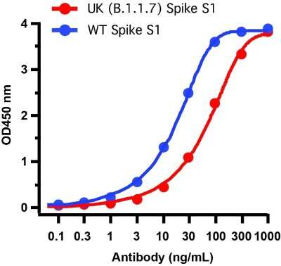 ELISA: SARS-CoV-2 Spike Antibody - BSA Free [NBP3-11940]