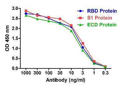 ELISA: SARS-CoV-2 Spike RBD Antibody (RBD-2B9) - VHH - Azide and BSA Free [NBP3-12843]