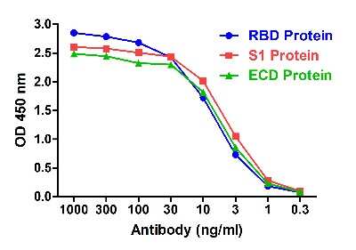 ELISA: SARS-CoV-2 Spike RBD Antibody (T3P1-C8) - VHH - Azide and BSA Free [NBP3-12849]