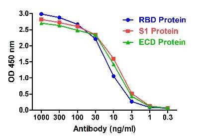 ELISA: SARS-CoV-2 Spike RBD Antibody (T4P5-H12) - VHH - Azide and BSA Free [NBP3-12848]