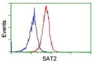 Flow Cytometry: SAT2 Antibody (OTI1C9) - Azide and BSA Free [NBP2-73990]