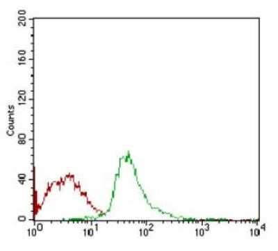 Flow Cytometry: SCP3/SYCP3 Antibody (6F9C5) - Azide and BSA Free [NBP2-80942]