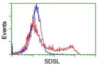 Flow Cytometry: SDSL Antibody (OTI1A8) - Azide and BSA Free [NBP2-74045]