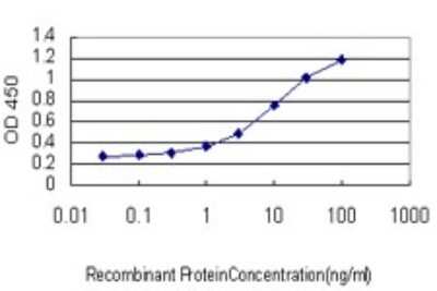 ELISA: SEC22B Antibody (1E1) [H00009554-M01]
